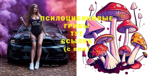 а пвп мука Переславль-Залесский