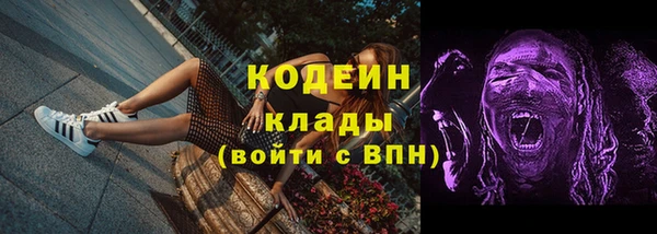apvp Пересвет